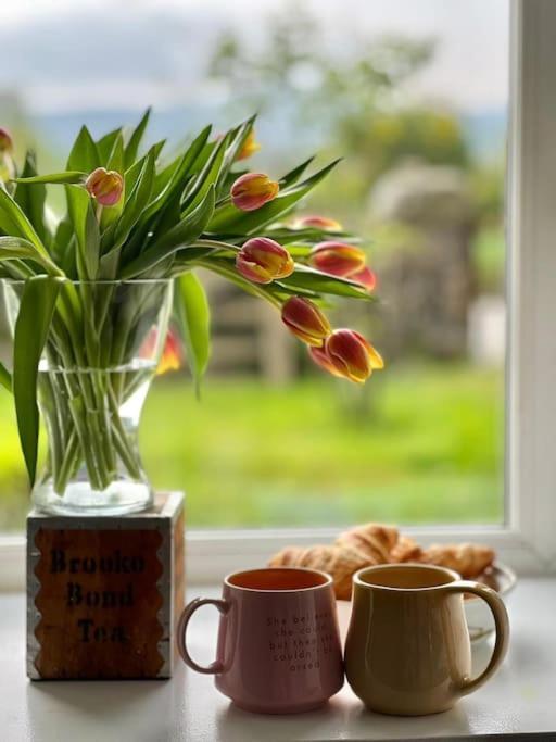 Cosy Country House In Deeside Finzean Pokoj fotografie